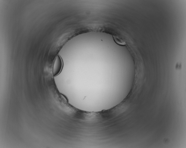 X0000115300432200911161702