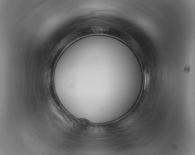 X0000115300435200911161701