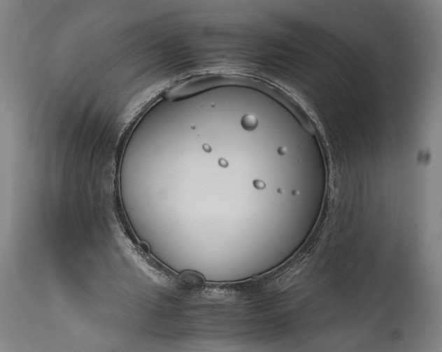 X0000115300437200911161701