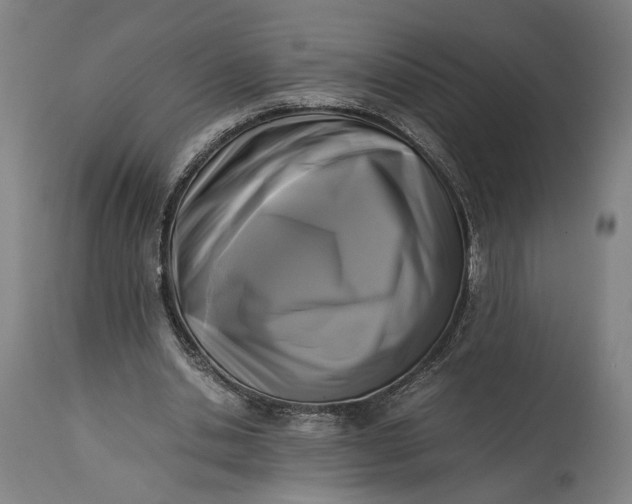 X0000115300438200911161701