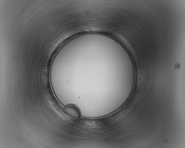 X0000115300439200911161701