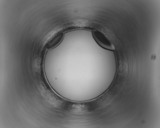 X0000115300440200911161701