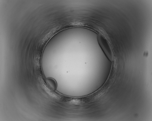 X0000115300441200911161701