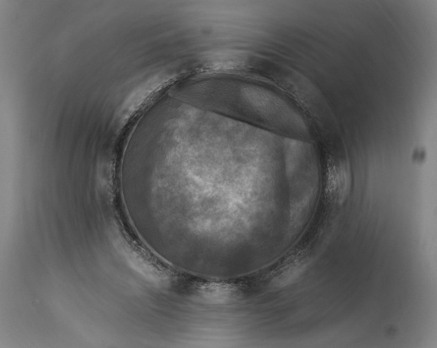 X0000115300444200911161701