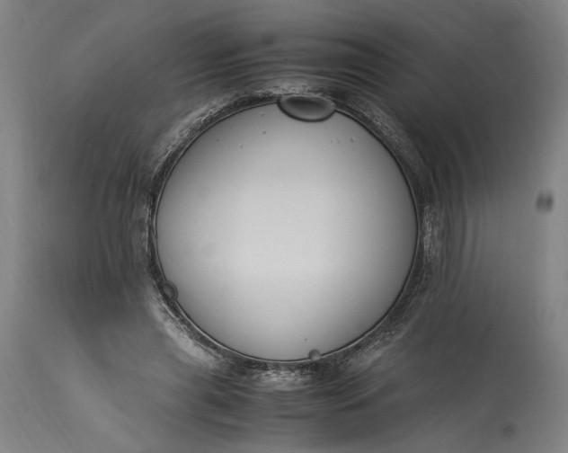 X0000115300445200911161701