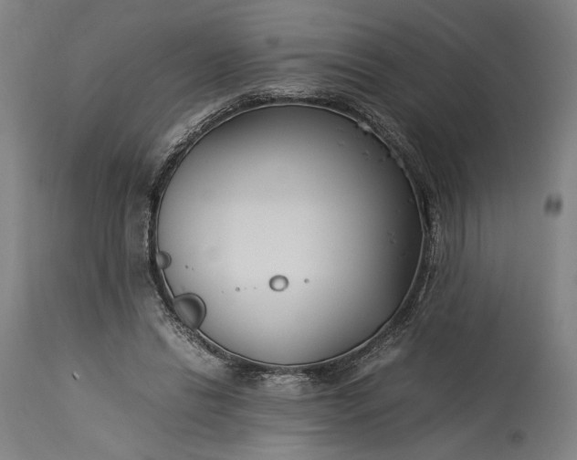 X0000115300446200911161701