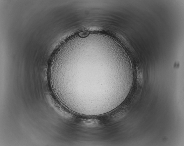 X0000115300447200911161701