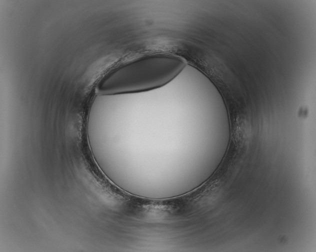 X0000115300448200911161701