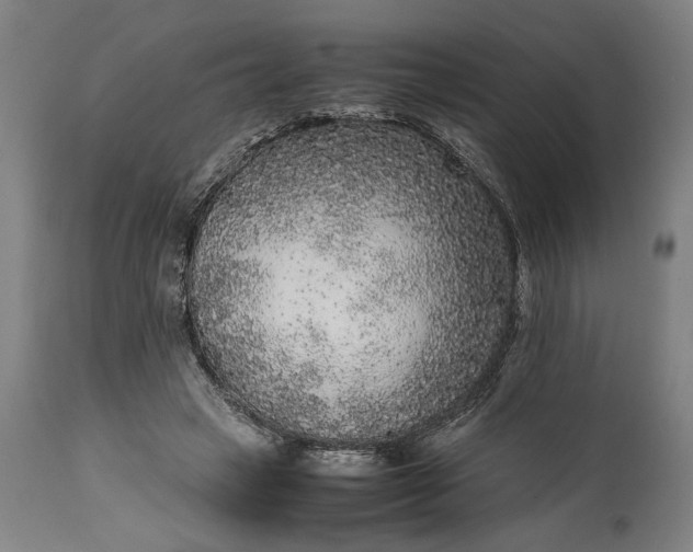 X0000115300449200911161701