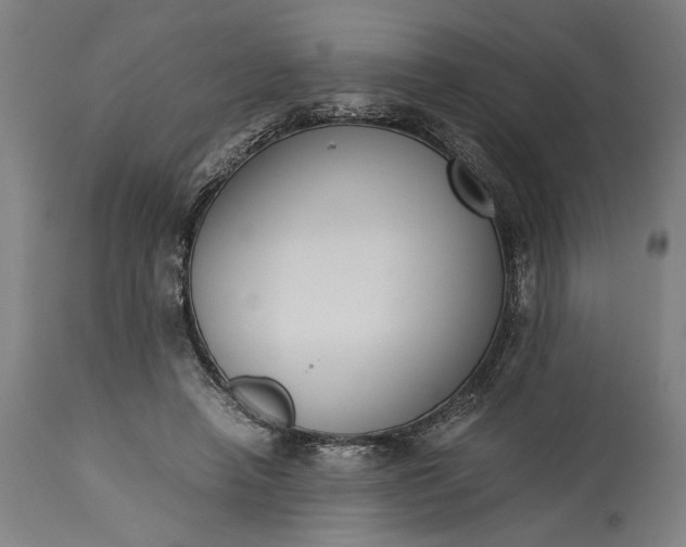 X0000115300450200911161701