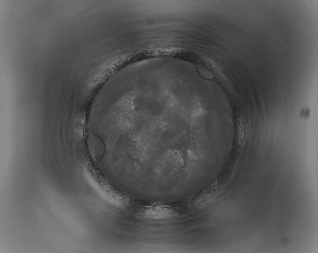 X0000115300451200911161701