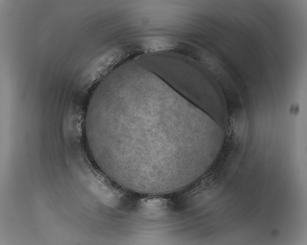 X0000115300452200911161701