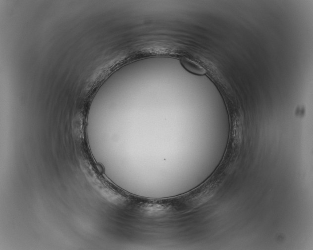 X0000115300453200911161701