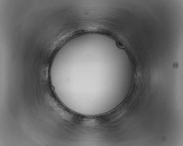 X0000115300454200911161701