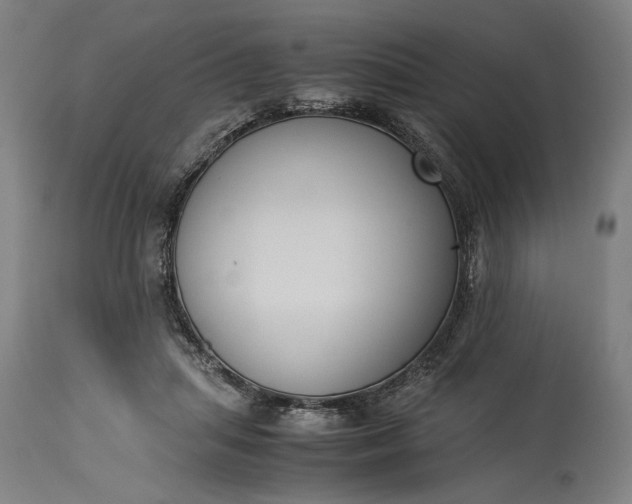 X0000115300455200911161701