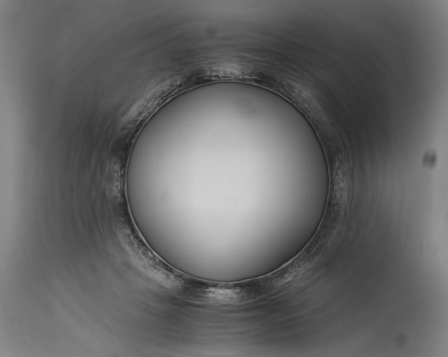 X0000115300457200911161701