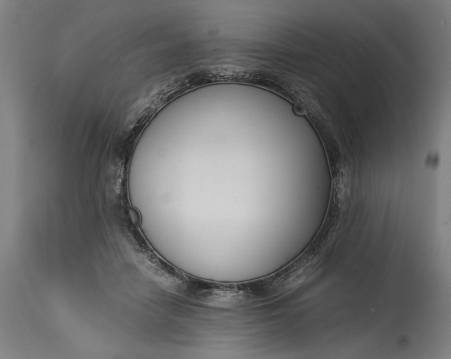 X0000115300458200911161701