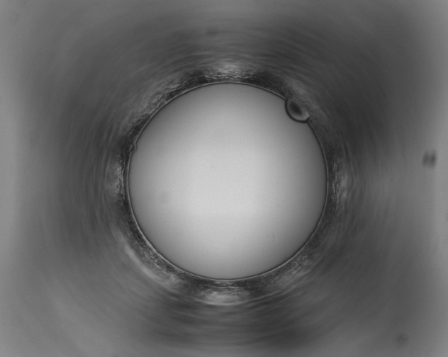 X0000115300459200911161701