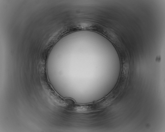 X0000115300461200911161701