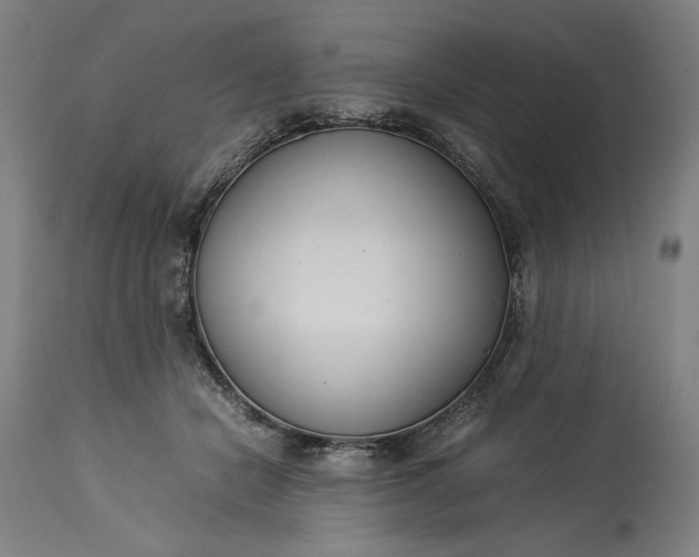 X0000115300462200911161701