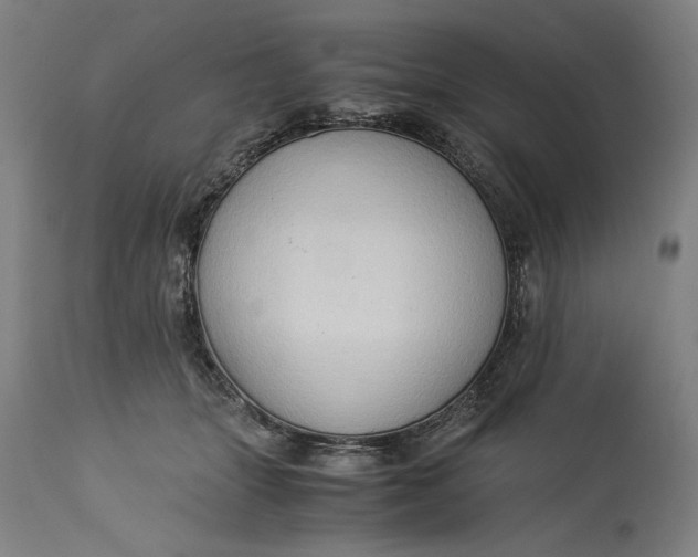 X0000115300463200911161701