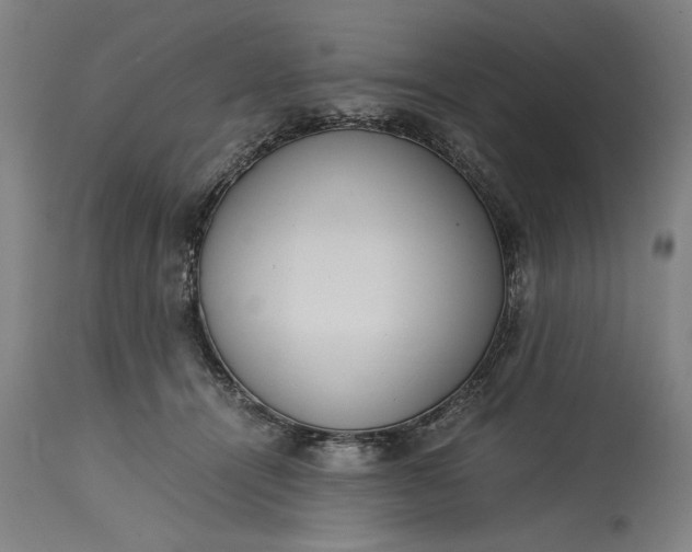 X0000115300464200911161701