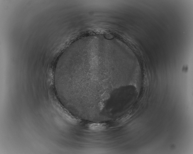 X0000115300465200911161701