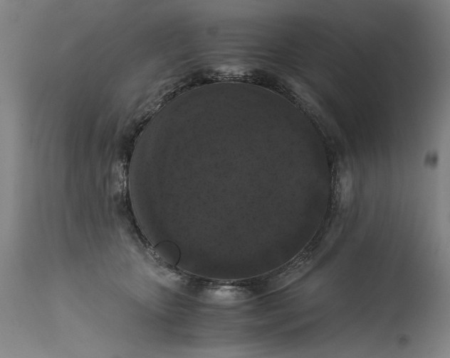 X0000115300467200911161701