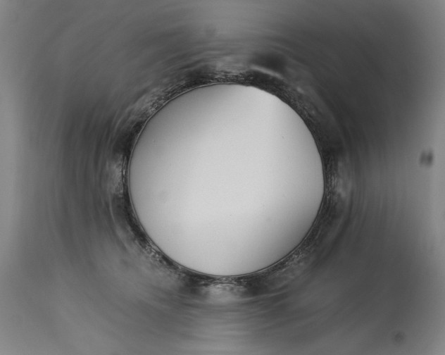 X0000115300468200911161701