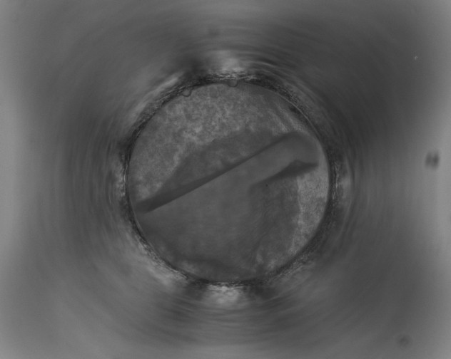 X0000115300469200911161702