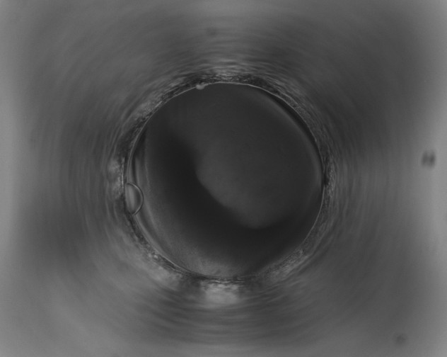 X0000115300471200911161702