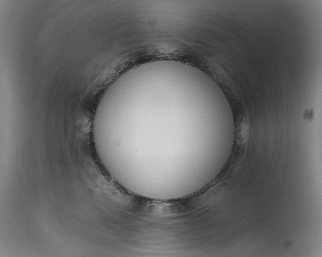 X0000115300472200911161702