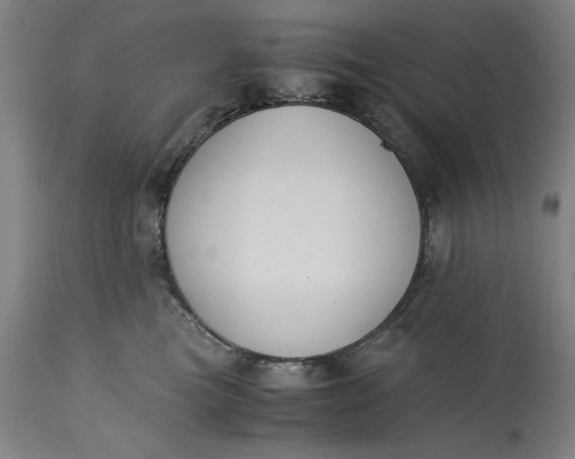 X0000115300473200911161702