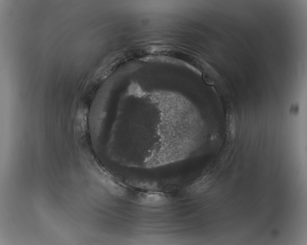 X0000115300475200911161702