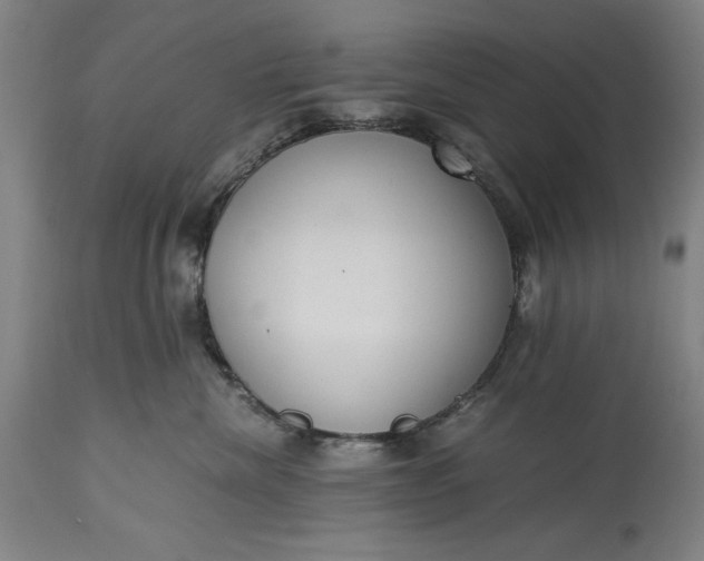 X0000115300476200911161702