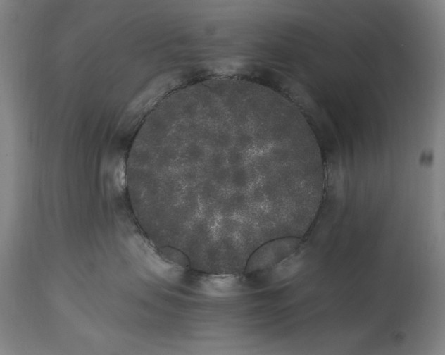 X0000115300479200911161702