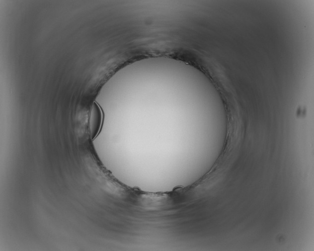 X0000115300480200911161702