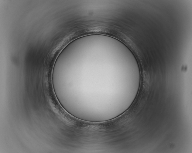 X0000115300482200911161701