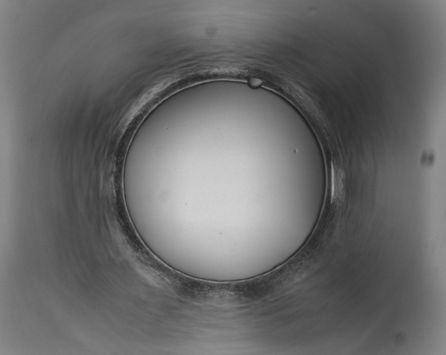 X0000115300483200911161701