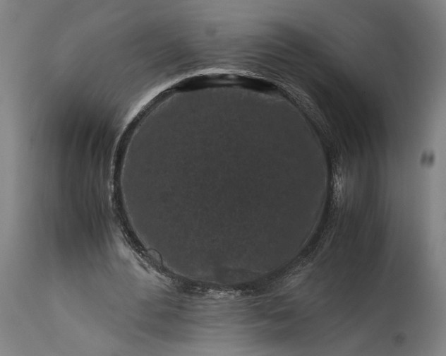 X0000115300484200911161701