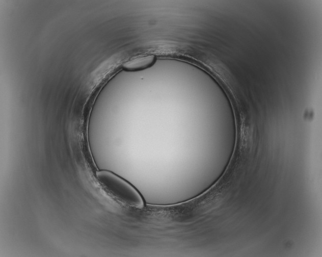 X0000115300485200911161701