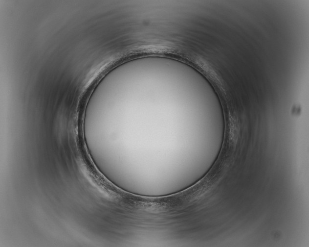 X0000115300486200911161701