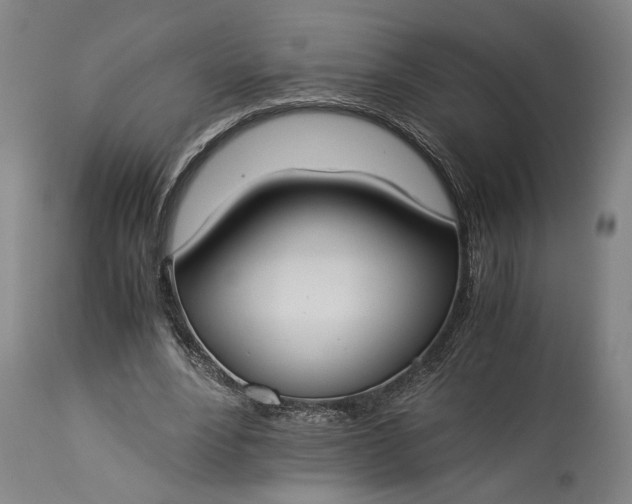 X0000115300488200911161701