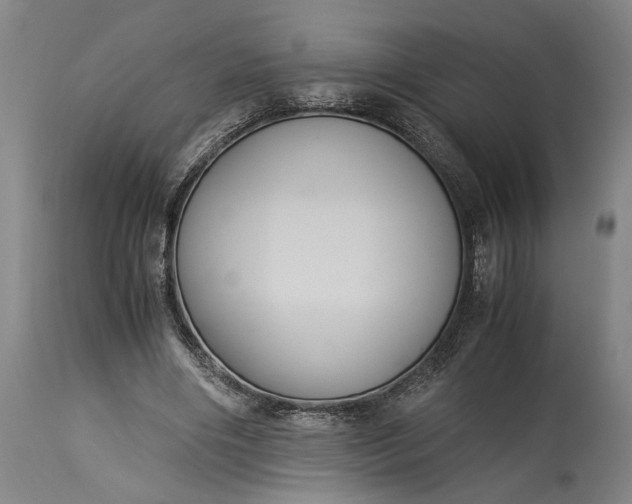 X0000115300490200911161701