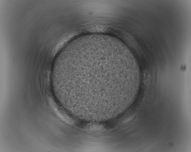 X0000115300491200911161701