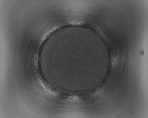 X0000115300492200911161701