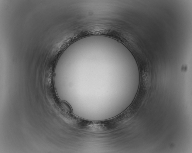 X0000115300499200911161701