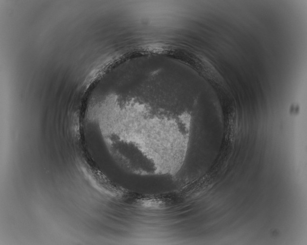 X0000115300500200911161701