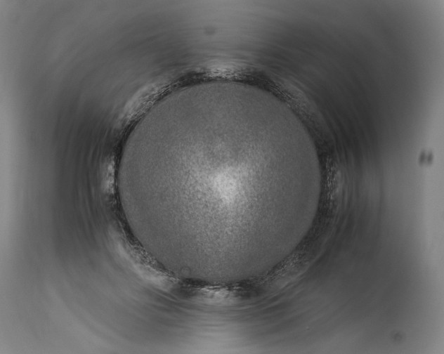 X0000115300502200911161701