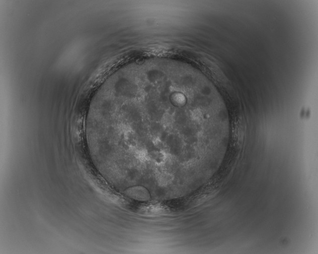 X0000115300503200911161701